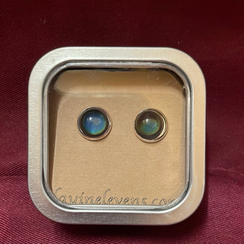 BGLAYINELEVANS--Slv/Rain Layin Elevans Earrings