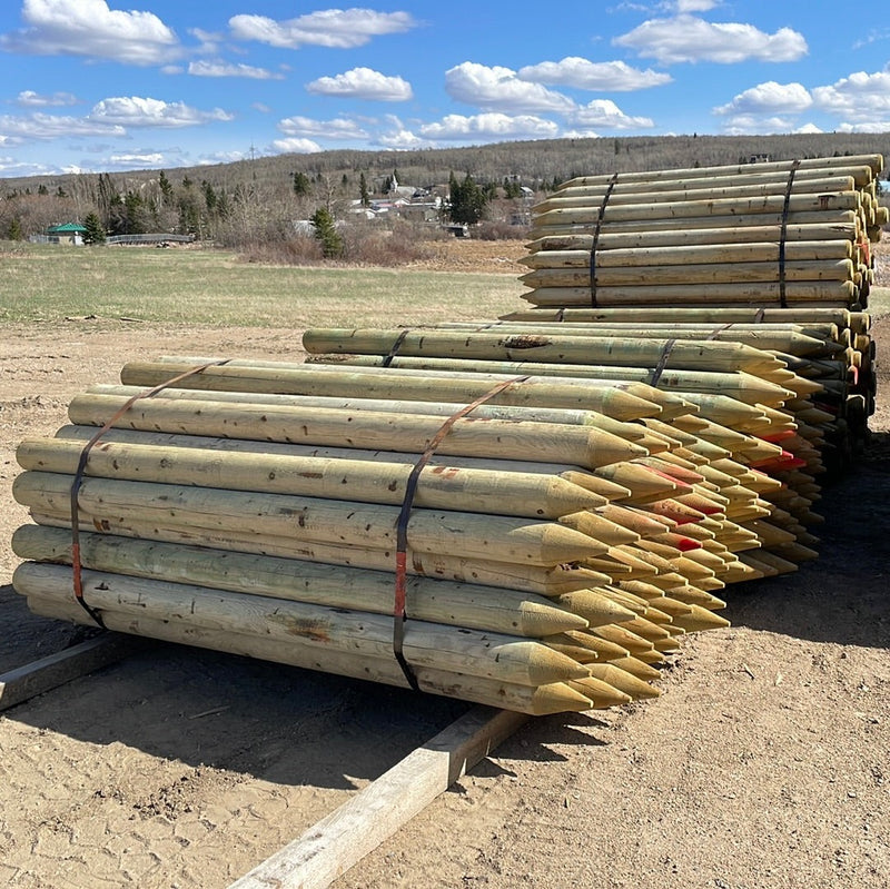 FE5.25x8 SUNDRE Posts 5.25"x 8'  Treated 64/Bundle