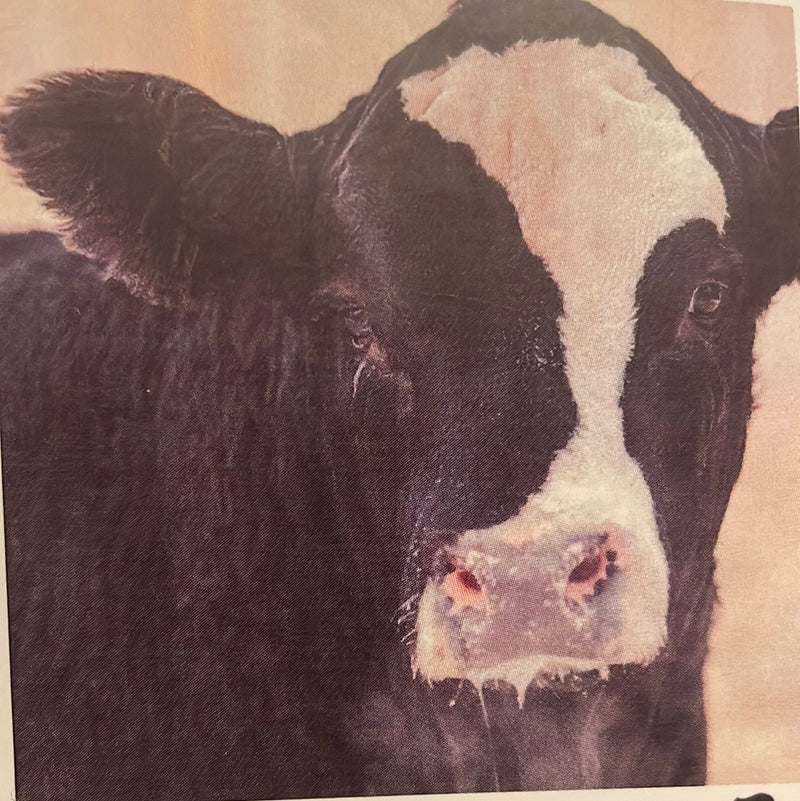 CLRL-36"-0329 Ranch-Life Wild Rags 100% Silk