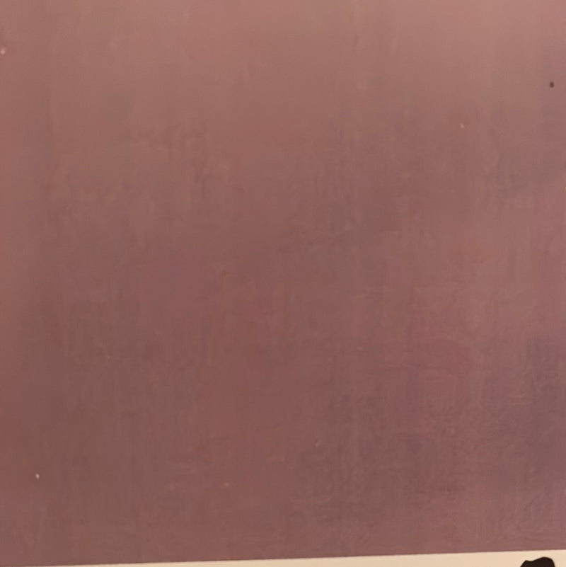 CLRL2-36"-0002 Ranch-Life Wild Rags 100% Silk