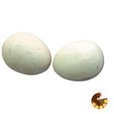 PE115-078 Nest Eggs Ceramic 2 pk