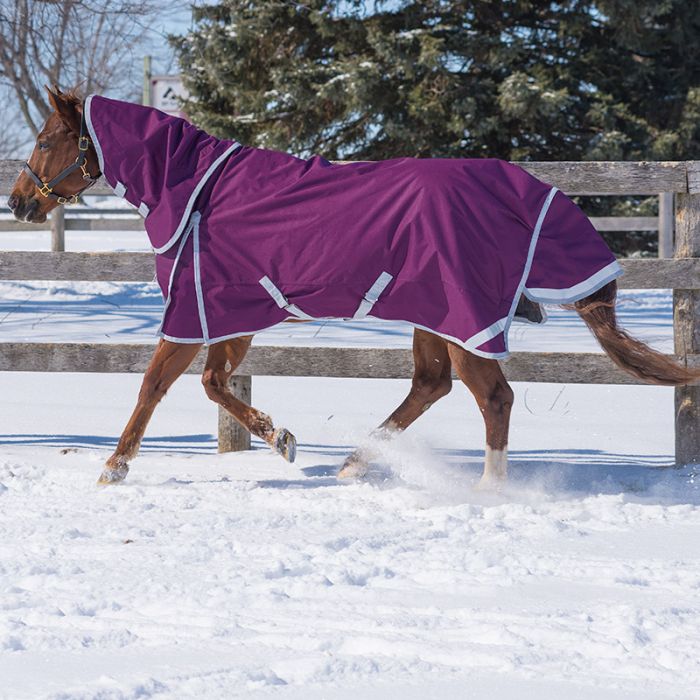 TK20700-75-Plum Winter Turnout w/Hood - Diablo Denali