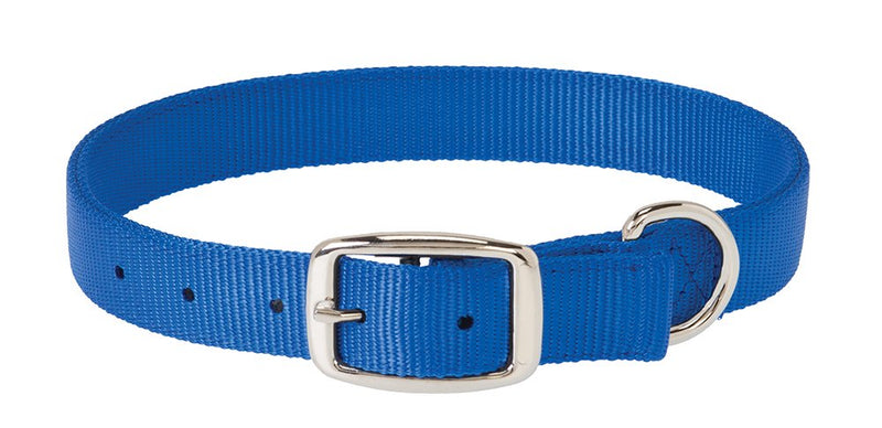 PS07-0110-19"-Blue Dog Collar Prism Classic 1"