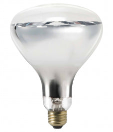 HG621132 Heat Lamp Bulb Clear 250 watt R40