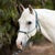 TK9713--Tl/Orang Reinsman - Diamond Rope Halter & Shank