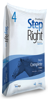 FSSTEP4 Step 4 Horse Complete