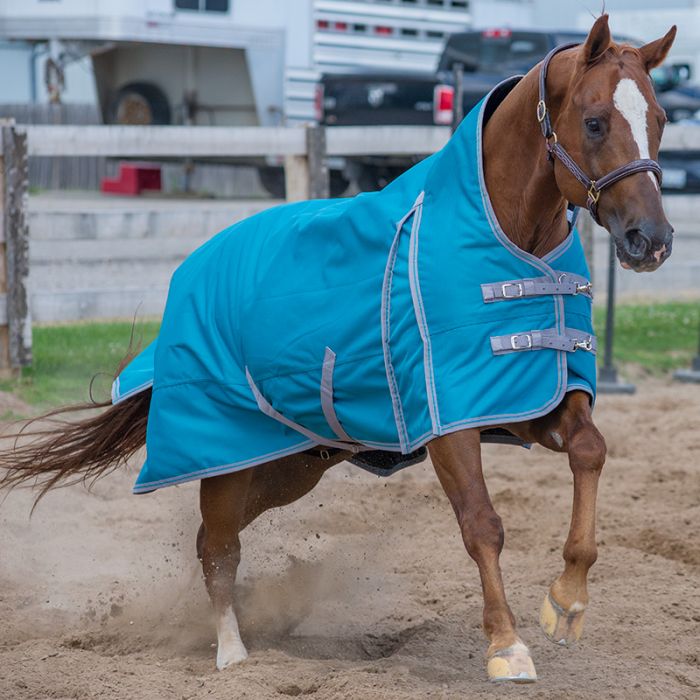 TK20805-78-Turq Winter Turnout - Meridan - High Neck