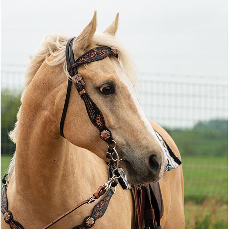 TKX0210-1001 Circle Y - Headstall - Vintage Sunflower